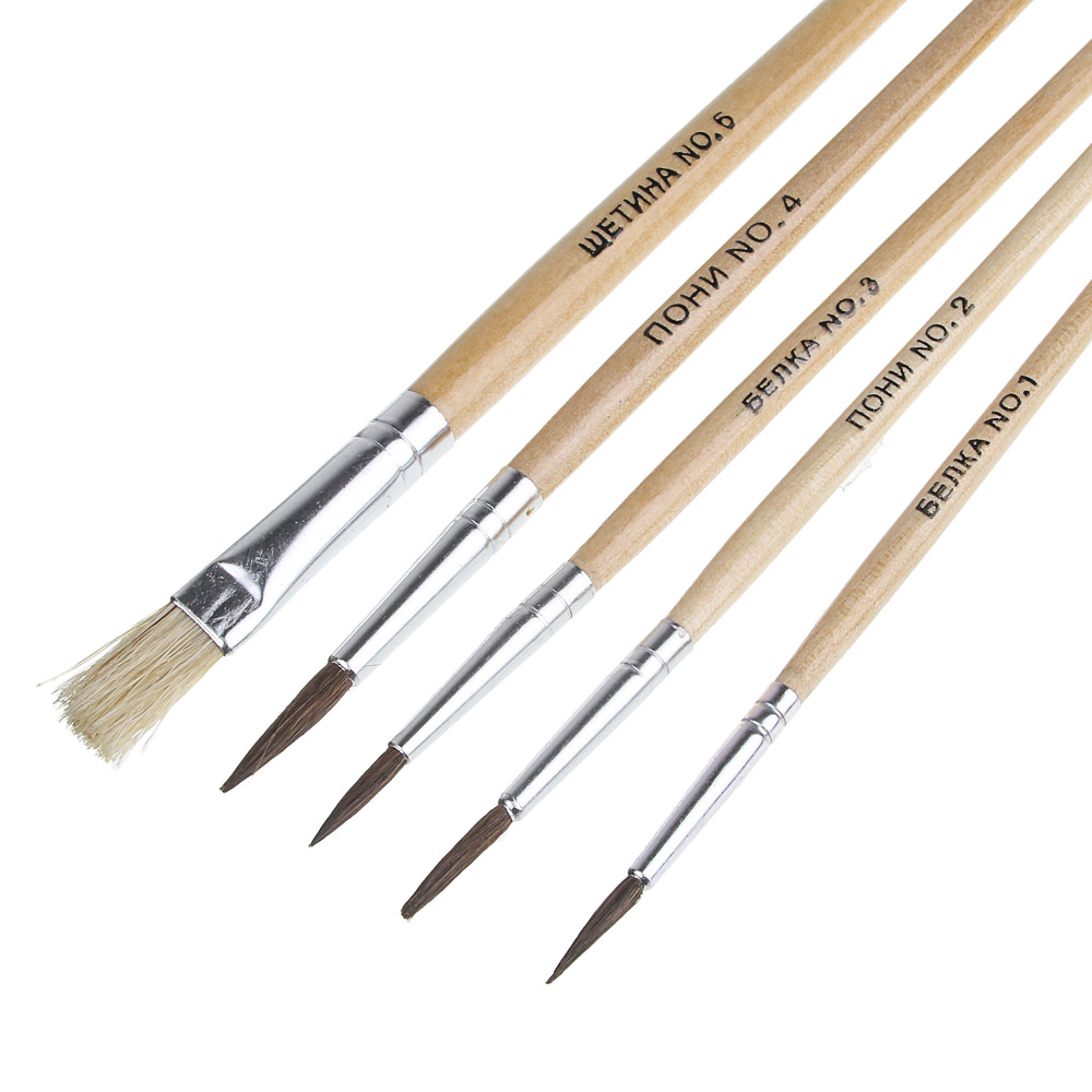 Набор кистей 5шт: белка №1,3 волос пони № 2,4, щетина №6, в пакете с подвесом (20/20)