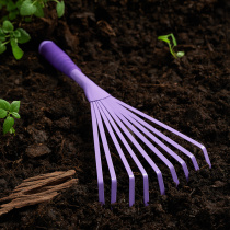 Грабли веерные, 9 зубьев, 37.5х15см, PP, металл INBLOOM (1/12)
