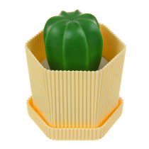 Щетка-кактус, полипропилен, пластик 8,5х10 см VETTA (10/90)