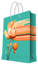 Бумажный пакет 26*33*13см д/сувенирной продукции с тиснением и конгревом (12/144)