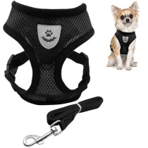 Шлейка с поводком 118см "Sweet puppy" размер L, цвет черный (1/10)