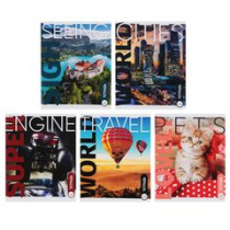 Тетрадь 48л клетка, блок №2, обложка 120г/м2, скрепка (10диз) ClipStudio (1/100)