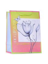 Бумажный пакет 17,8x22,9x9,8см д/сувенирной продукции с ламинацией (12/240)